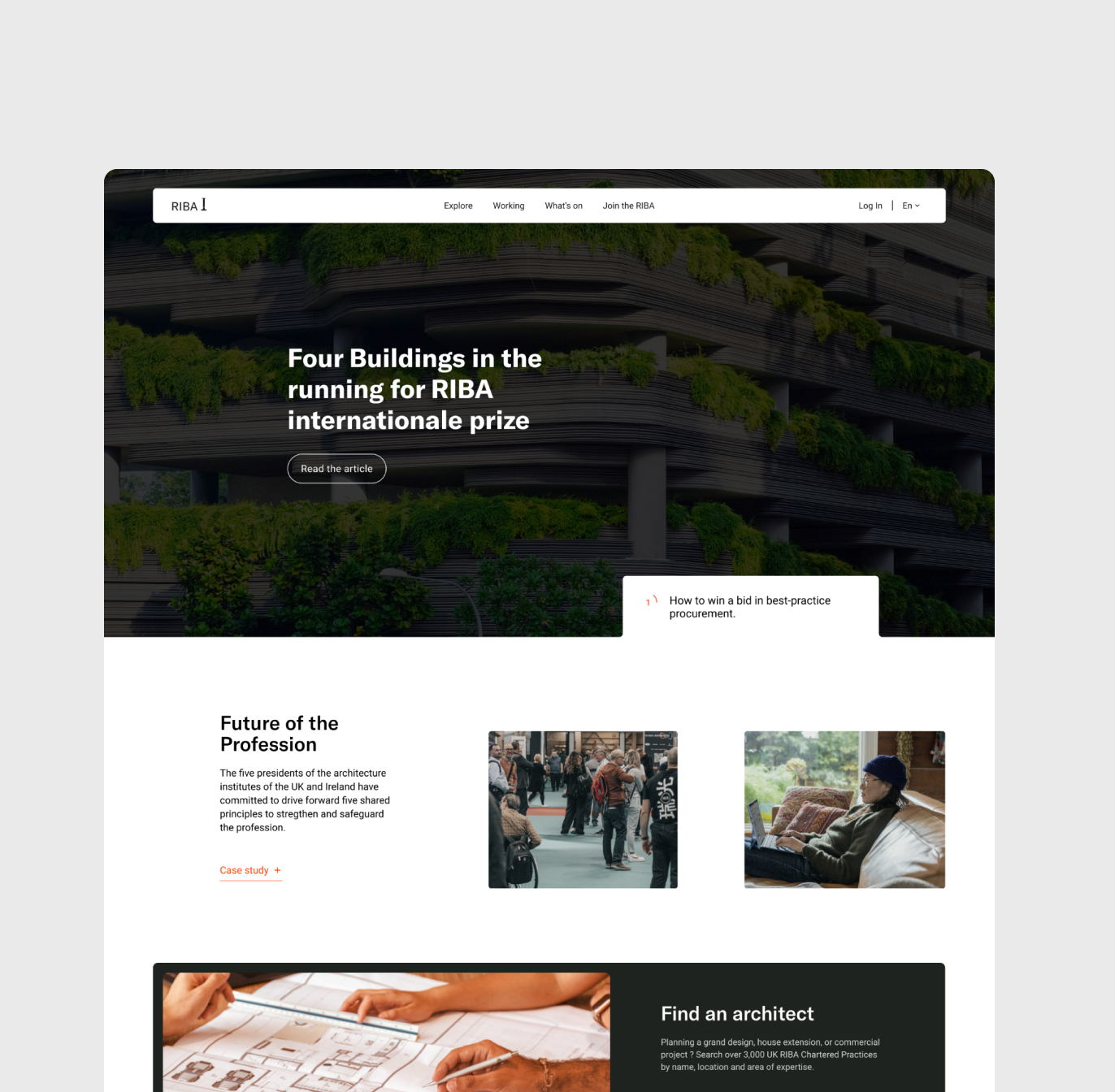 Riba — frame 4